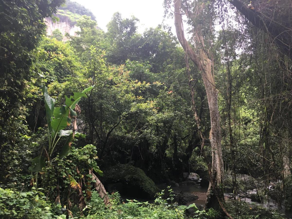 Hotel Baan Suan Kru Kob Ban Ko Maphang Exterior foto